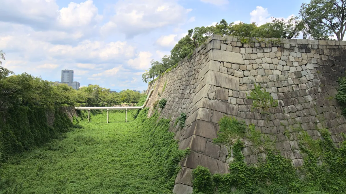 A mighty stone wall with meter tall stone bricks is towering over a moat. The moat has overgrown with greenery. Some plants are crawling up the wall, trying to reclaim the man-made structure. Some plants are even growing in between the stones. In the middle of the moat, a white pipe goes across, being held up by support beams and goes into the wall.