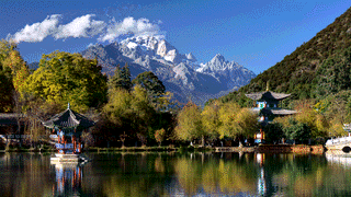 The classics GIF (animated) test image